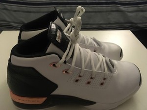 air jordan 17 argento
